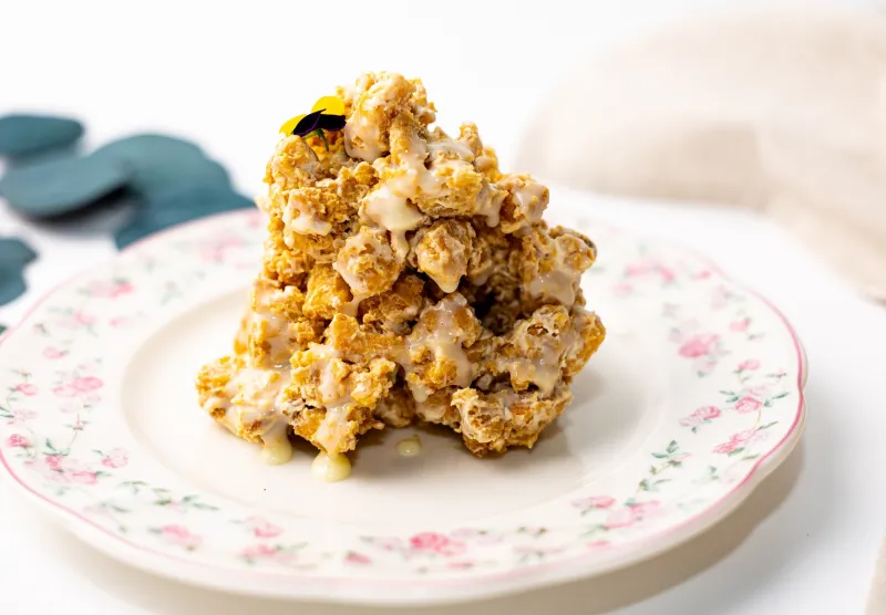 Домашний муравейник