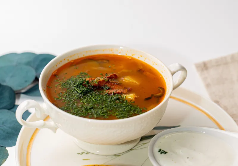 Домашняя солянка